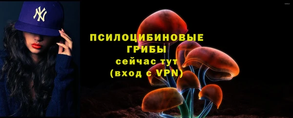 гашик Абаза