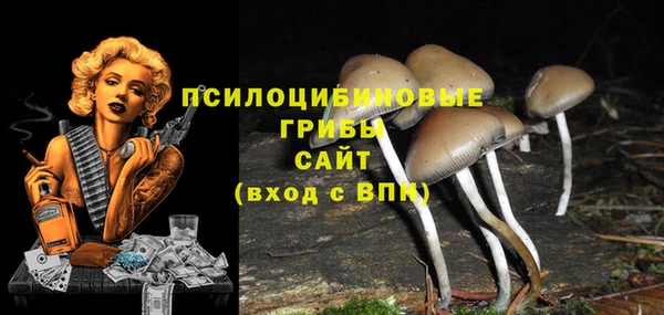 гашик Абаза